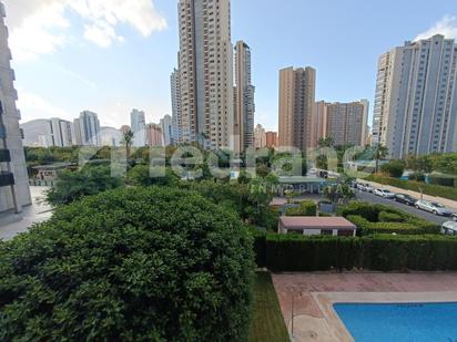 Vista exterior de Pis en venda en Benidorm amb Piscina