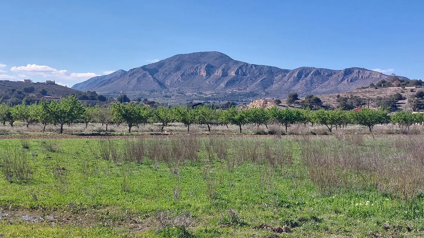 Casa o chalet en venta en Hondón de las Nieves / El Fondó de les Neus con Aire acondicionado, Calefacción y Jardín privado