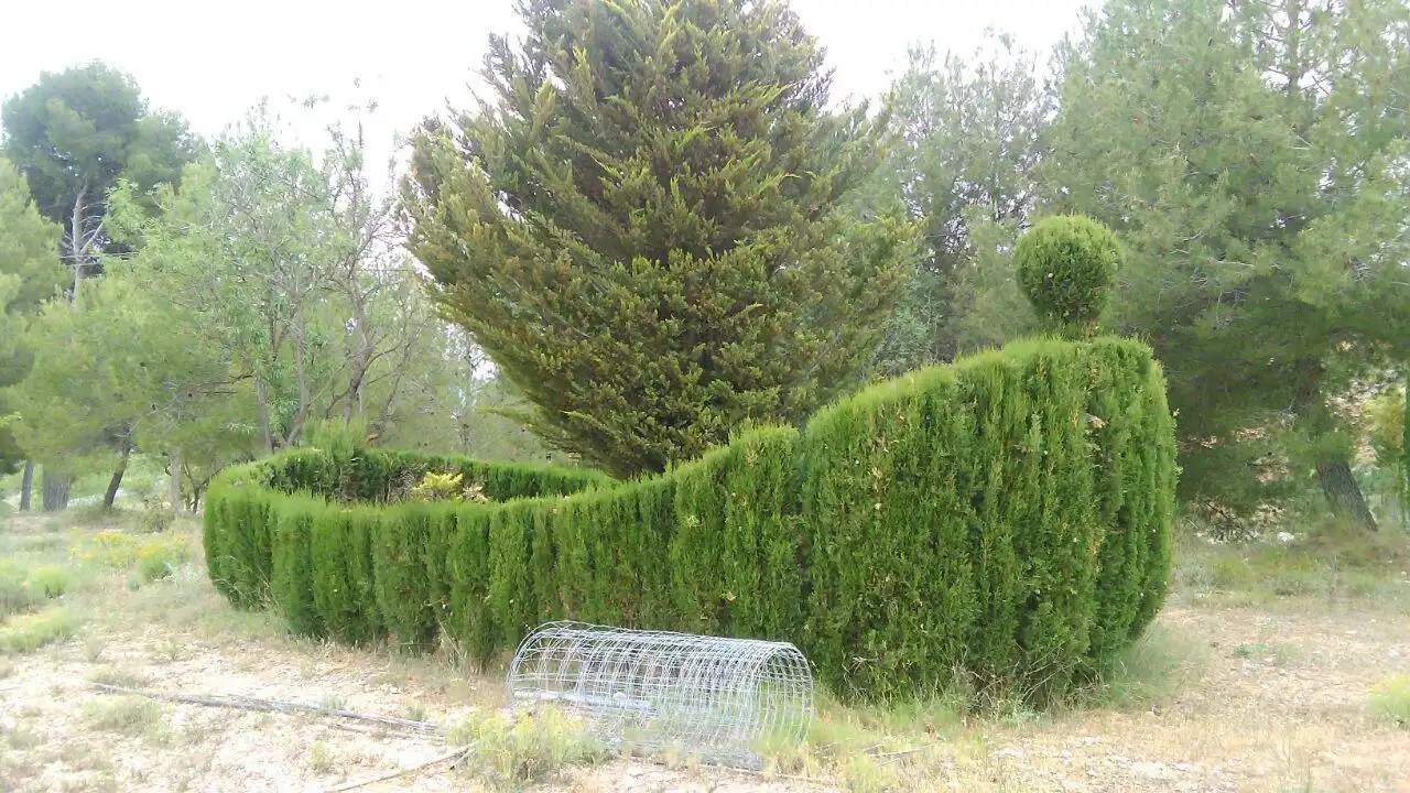 Terrenys i solars en venda a Ibi, imagen 8