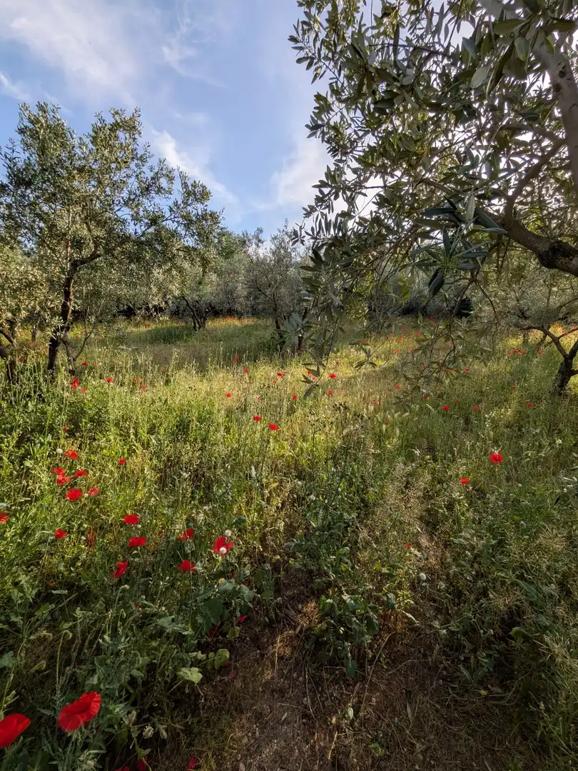 Finca rústica en venta en Miguelturra con Aire acondicionado, Calefacción y Jardín privado