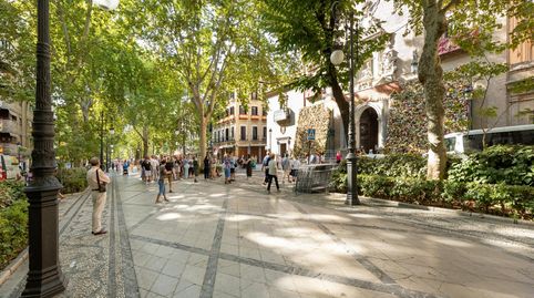 Foto 2 de Piso de alquiler en San Matías - Realejo, Granada Capital