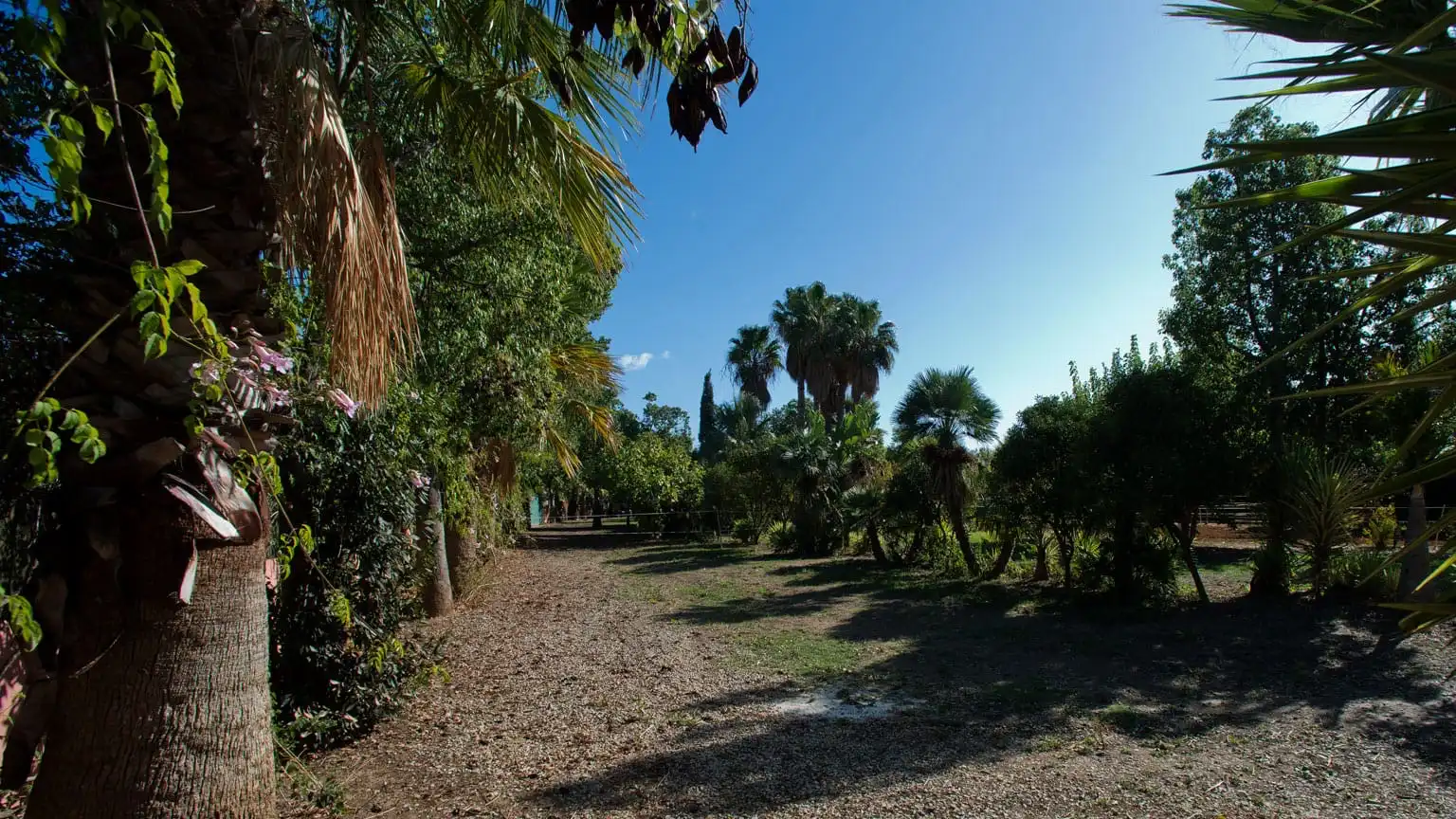 Terreno en venta en Estepona