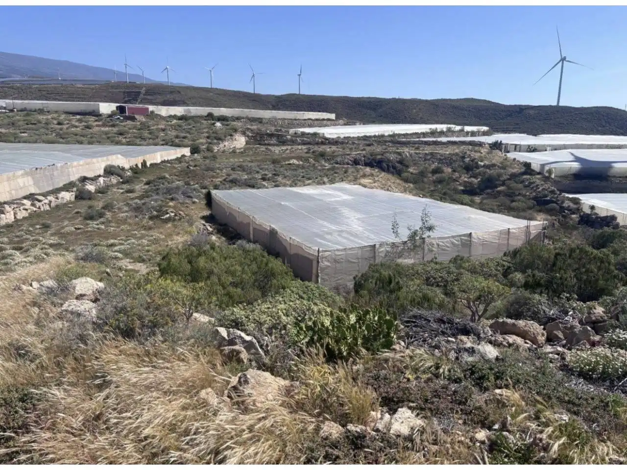Vista exterior de Casa o xalet en venda en Arico amb Jardí privat i Terrassa