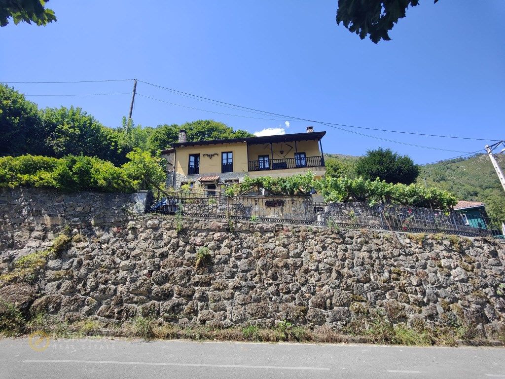 Vista exterior de Finca rústica en venda en Quirós