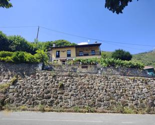 Exterior view of Country house for sale in Quirós