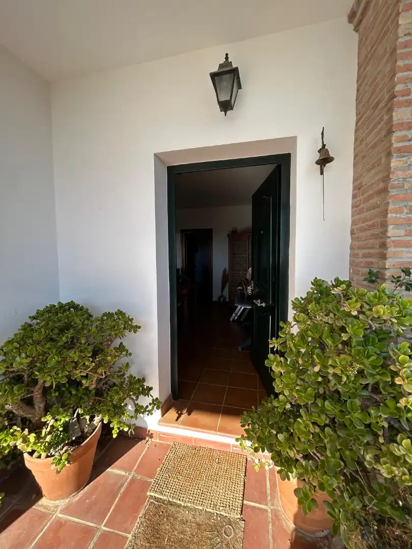 Finca rústica en venda en Macharaviaya amb Terrassa, Traster i Piscina