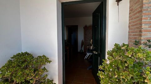 Foto 3 de Finca rústica en venda a N/a, Macharaviaya, Málaga