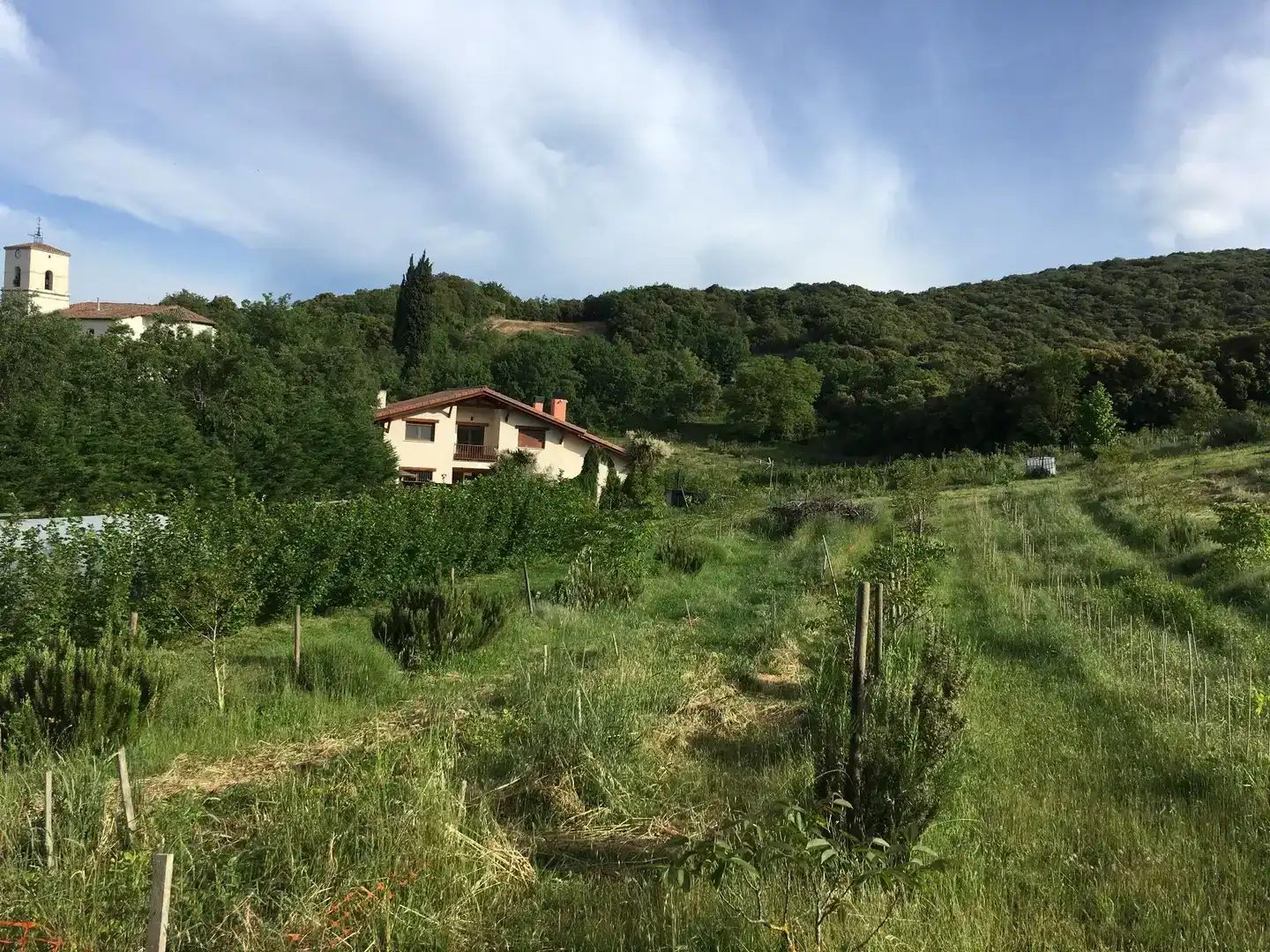 Casa o xalet en venda en Erriberagoitia / Ribera Alta amb Balcó