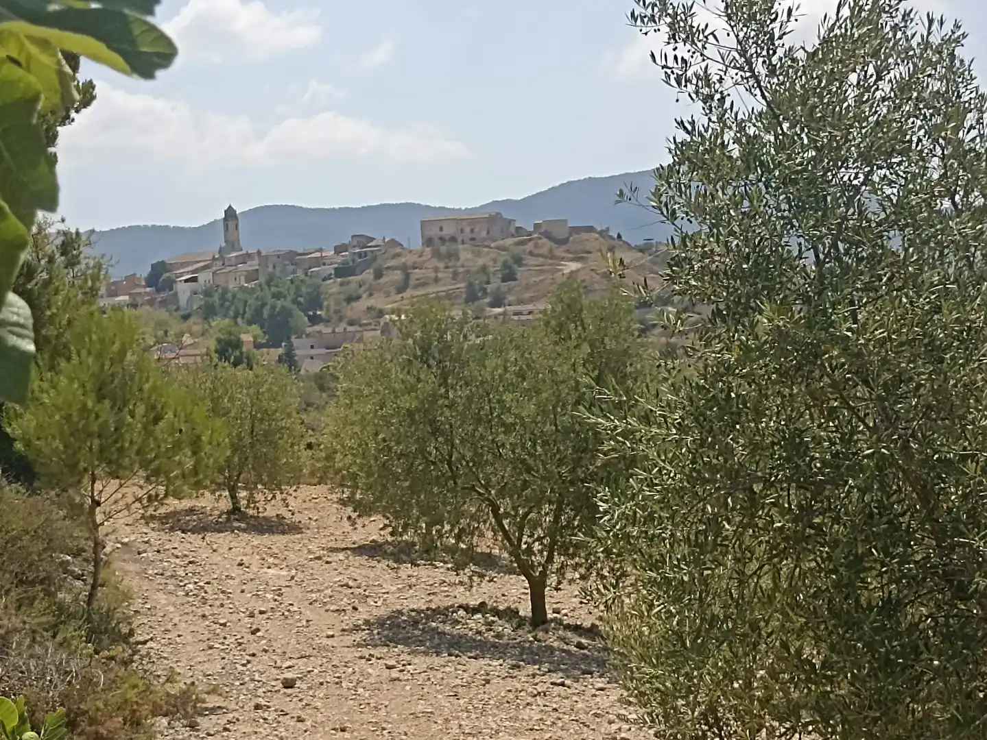 Außenansicht von Grundstücke zum Verkauf in Barberà de la Conca