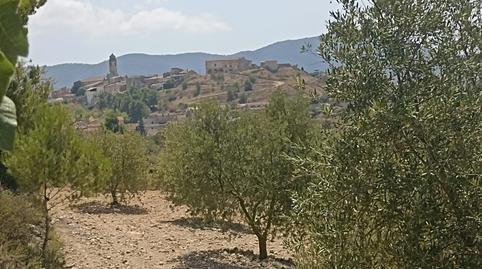 Photo 5 of Land for sale in Barberà de la Conca, Tarragona