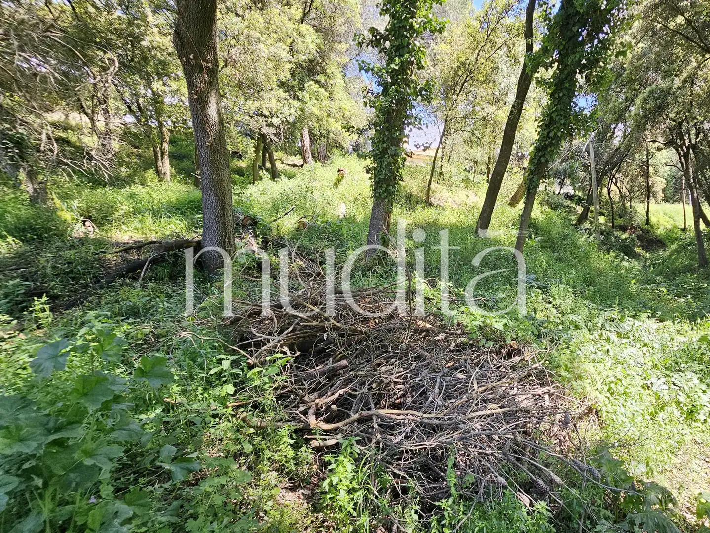 Residential land for sale in Sant Pere de Vilamajor, imagen 12