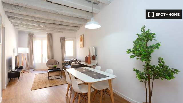 Piso en Alquiler en Barri Gòtic