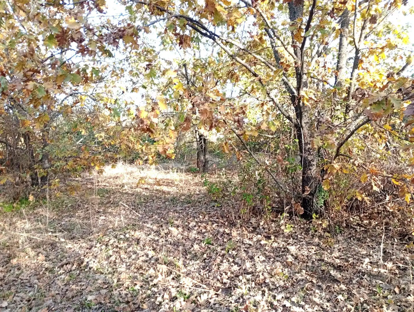 Terreni e lotti in vendita a Viandar de la Vera, imagen 28