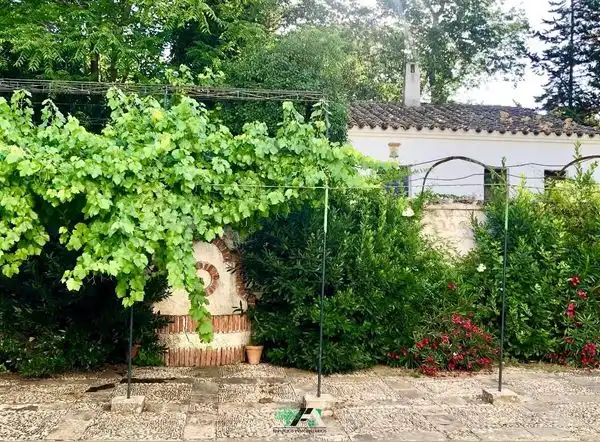 Casa rustica con piscina in vendita a Baeza, imagen 30