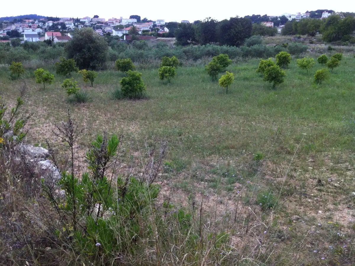 Terrenys i solars en venda a CASTELL DE MONTORNES 1, imagen 9