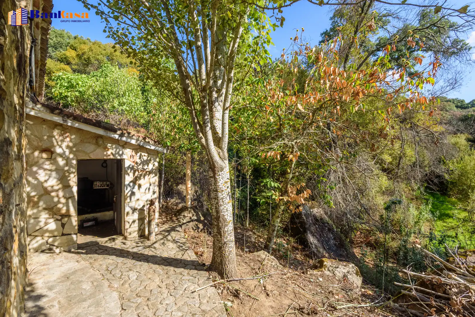 Jardí de Casa o xalet en venda en Cortes de la Frontera amb Calefacció, Jardí privat i Moblat
