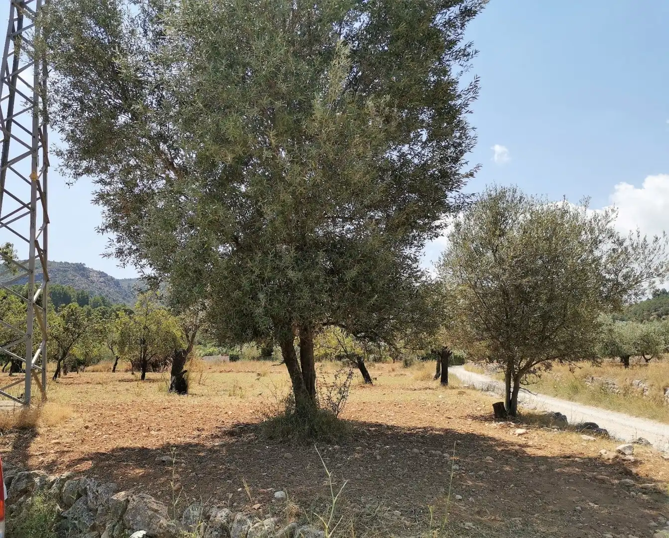 Terreno en venta en Orba