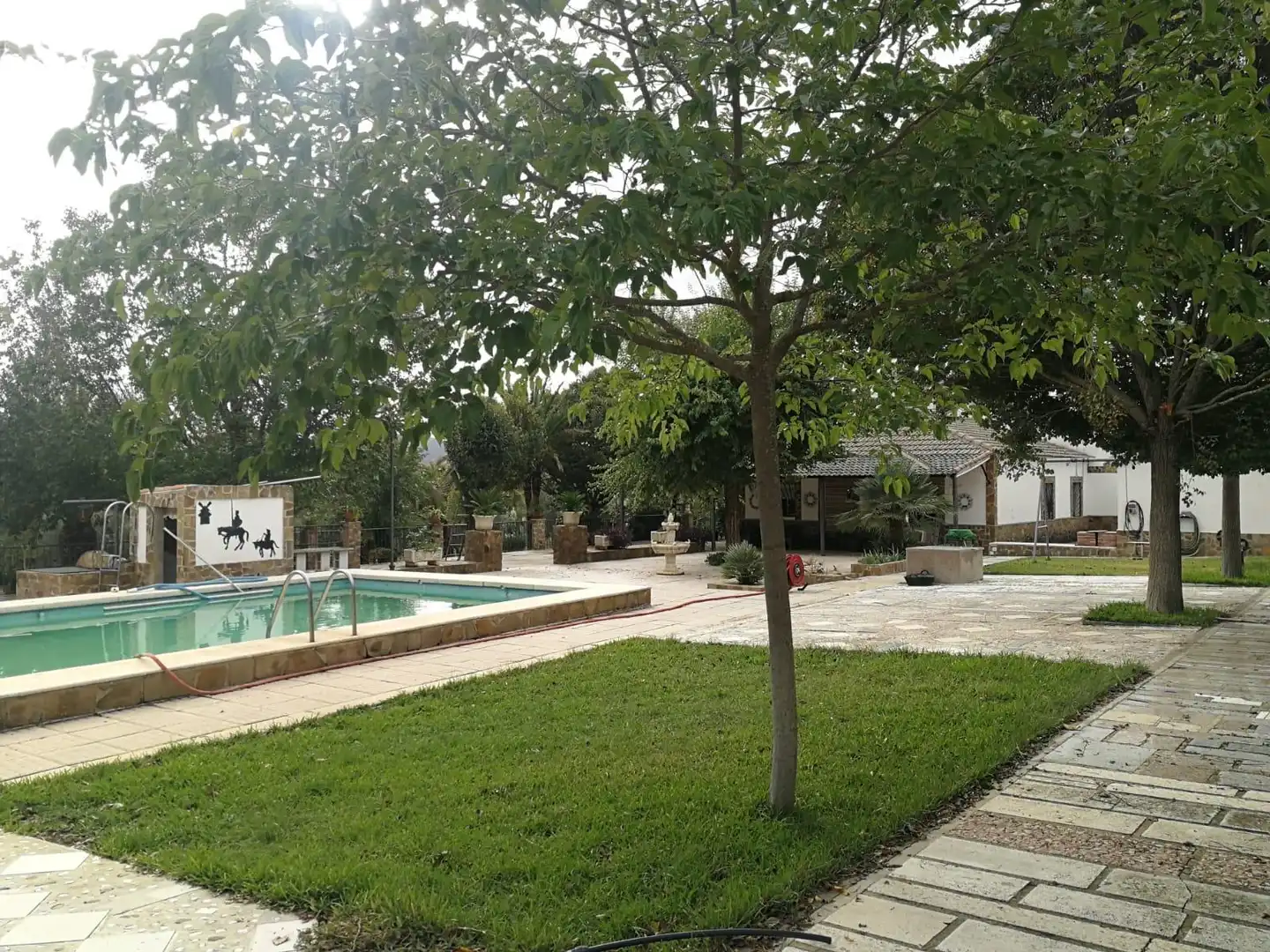 Piscina de Casa o chalet en venta en Brazatortas con Aire acondicionado, Calefacción y Jardín privado