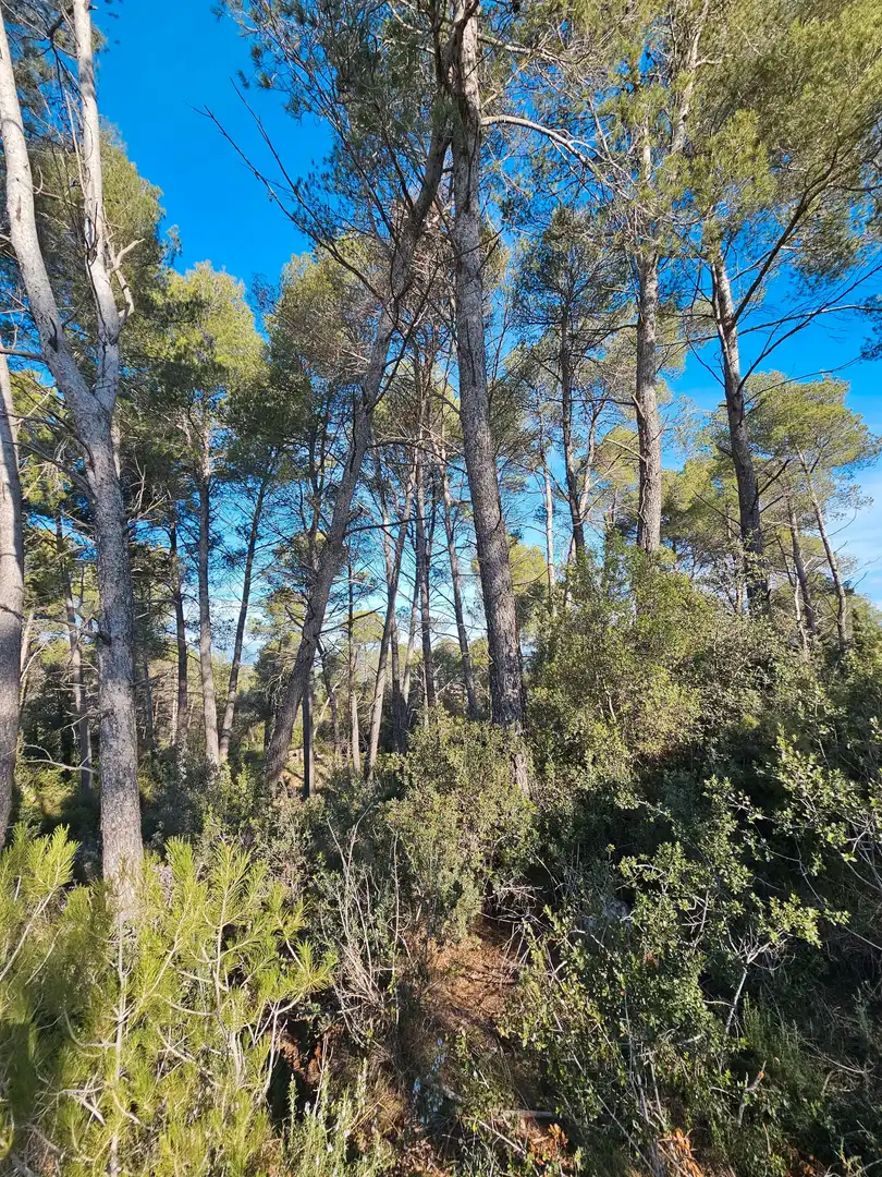 Residential zum Verkauf in Carrer de Sitges, 9, Cabrera d'Anoia