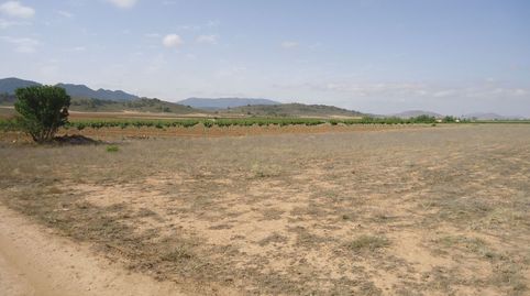 Parcela de 6.466 m2 en Yecla Murcia, immagine 5