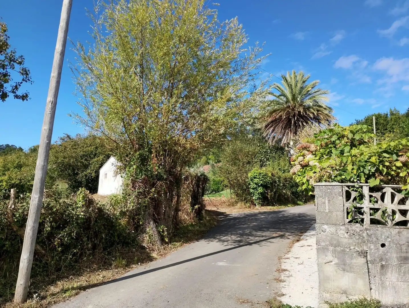 Terreni e lotti in vendita a Bárcena de Cicero, imagen 21