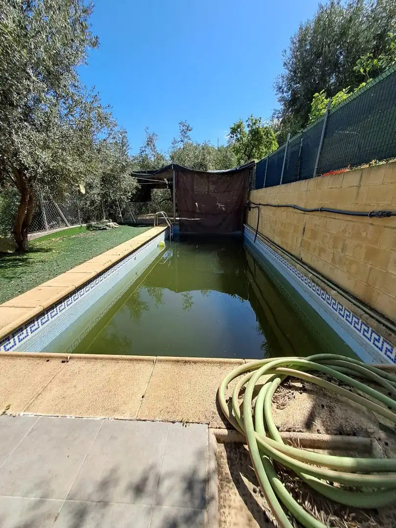 Piscina de Finca rústica en venda en Alcolea amb Aire condicionat, Jardí privat i Piscina