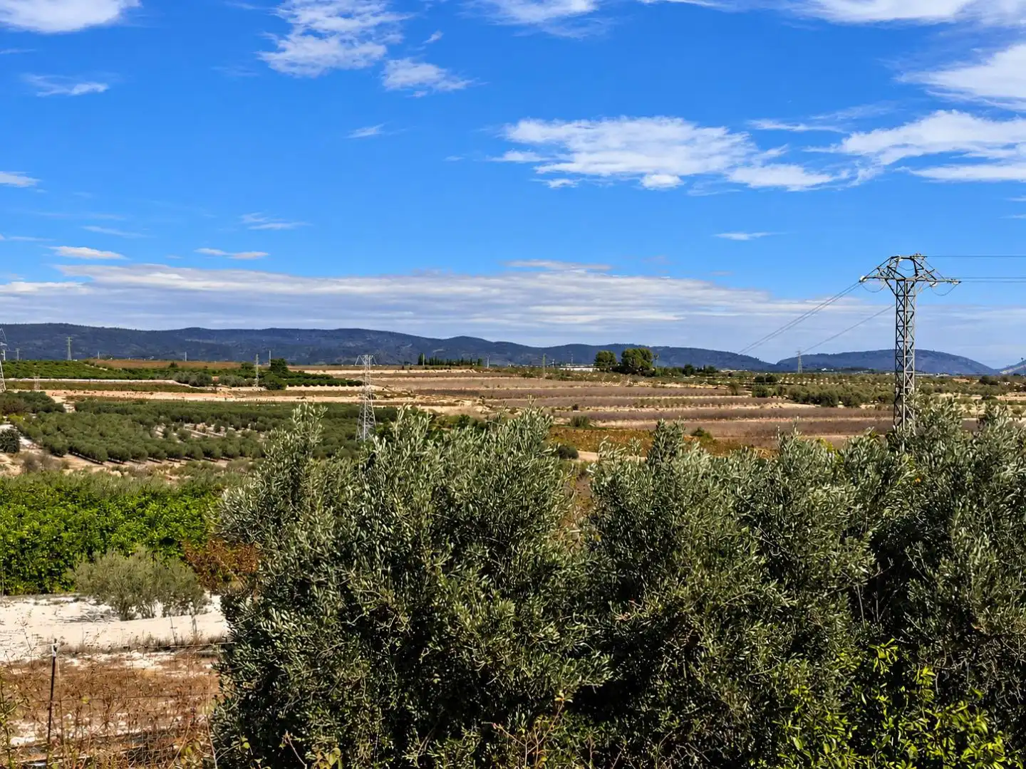 Villa mit Garten zum Verkauf in Albaida, imagen 35