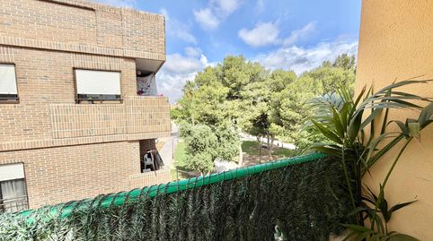 Foto 4 de Ático en venta en Torre-Pacheco ciudad, Torre-Pacheco