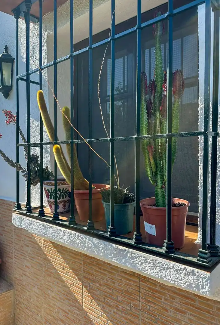 Terraza de Apartamento en venta en Los Guájares con Terraza y Alarma