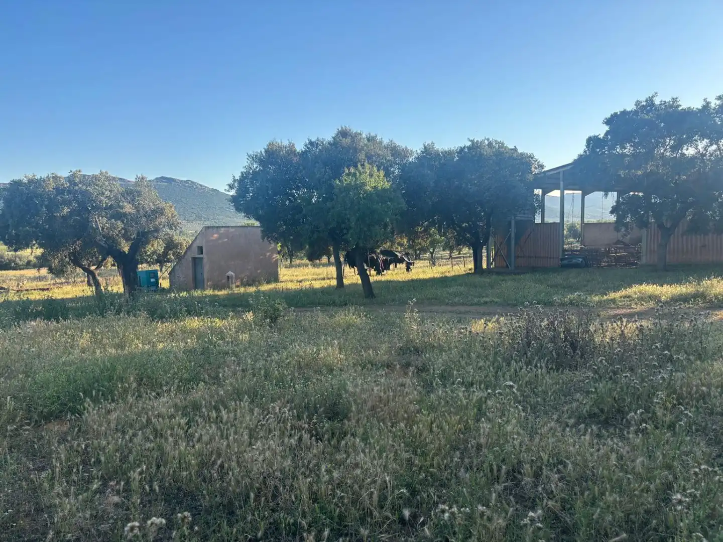 Casa rústica en venda a Malagón, imagen 38