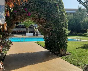 Swimming pool of Planta baja for sale in Puerto de la Cruz  with Terrace and Swimming Pool