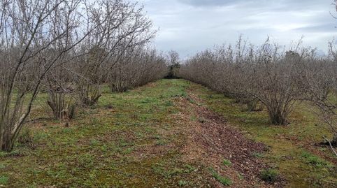 Foto 3 von Grundstücke zum Verkauf in N/a, -1, Vilallonga del Camp, Tarragona