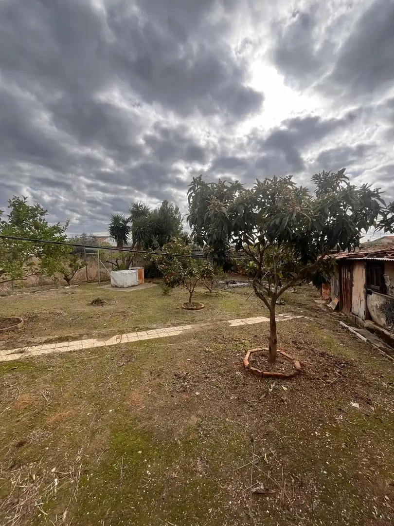 Houses for sale in Cañaveral  with Private garden