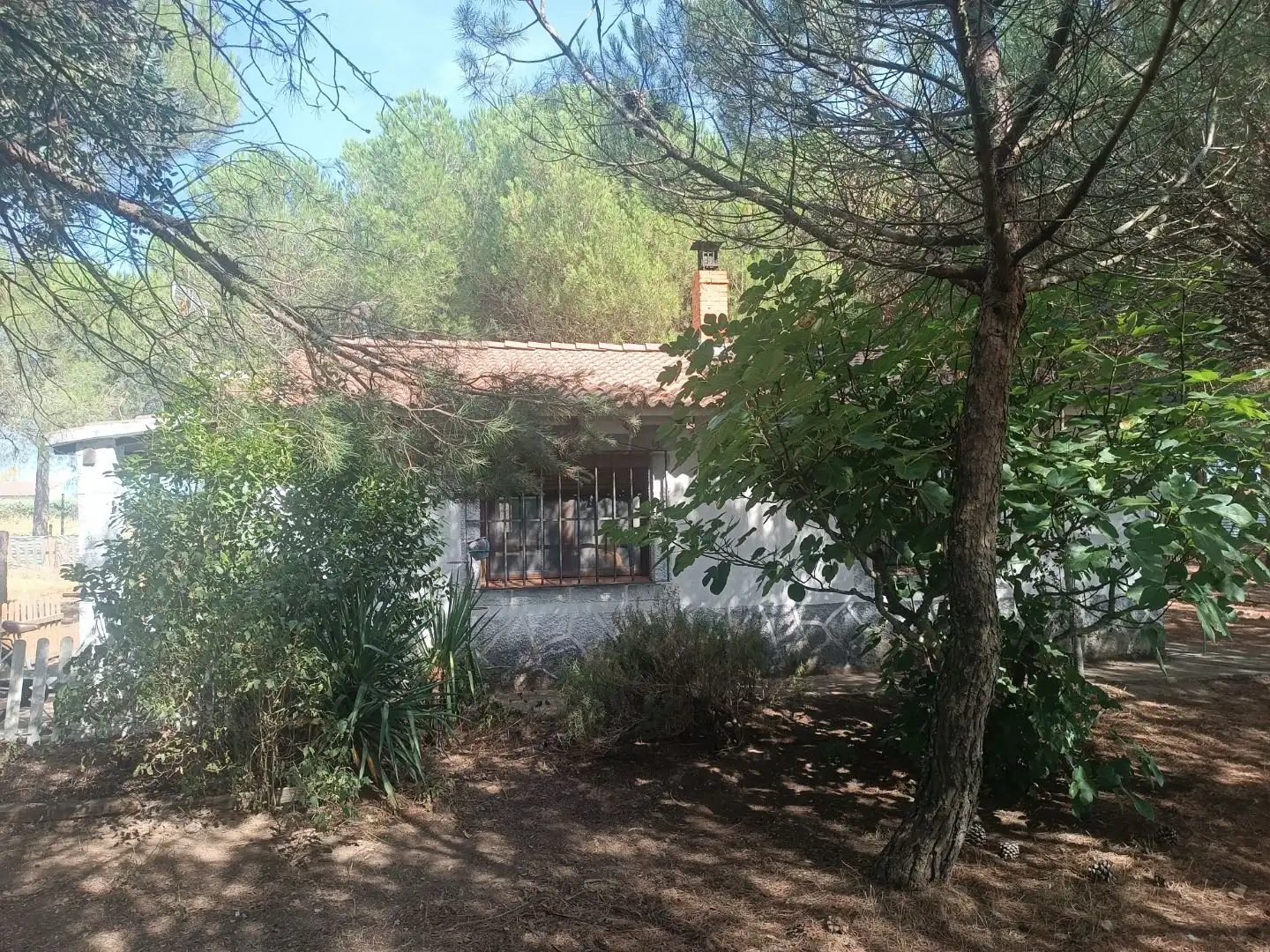 Jardí de Casa o xalet en venda en Villarrabé, Palencia