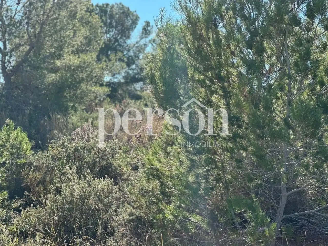 Terreno residencial en venta en La Conarda - Montesano, imagen 9