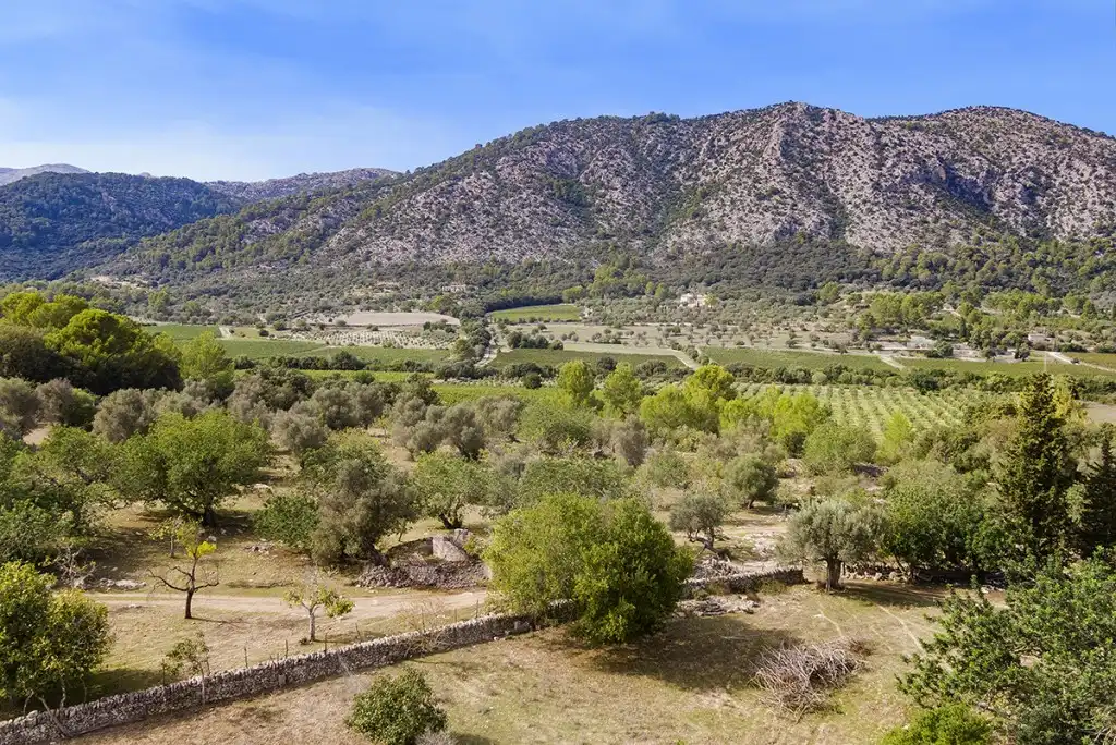 Terreno rustico in vendita a Pollença Poble, imagen 7