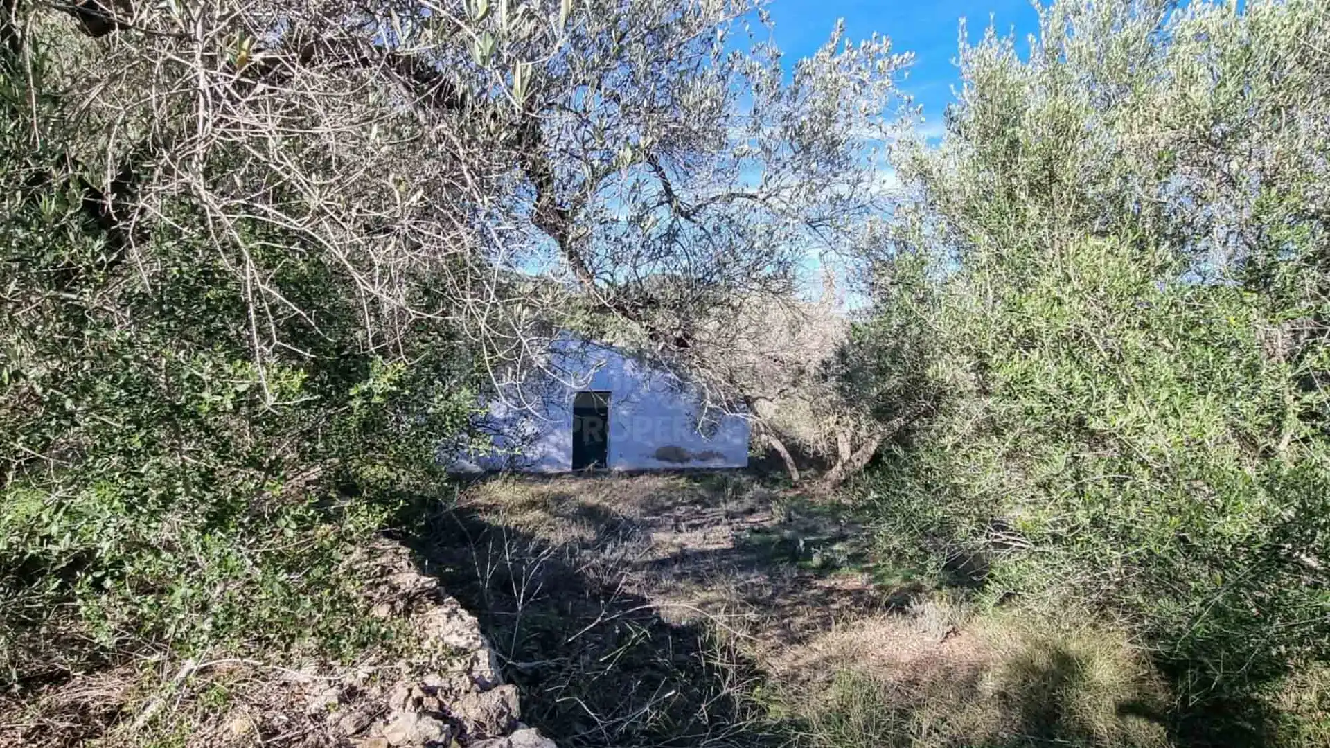 Casa rústica con piscina en venta en El Perelló, imagen 41