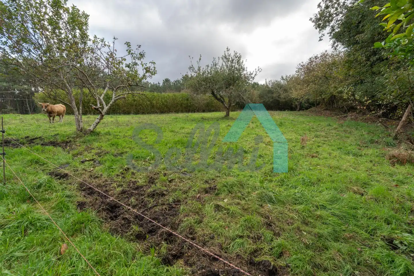 Casa o xalet en venda en Cudillero amb Jardí privat i Traster