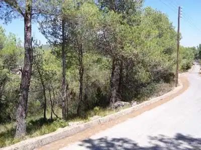 Terreno residencial en venta en Camí de Pinedes Altes 14