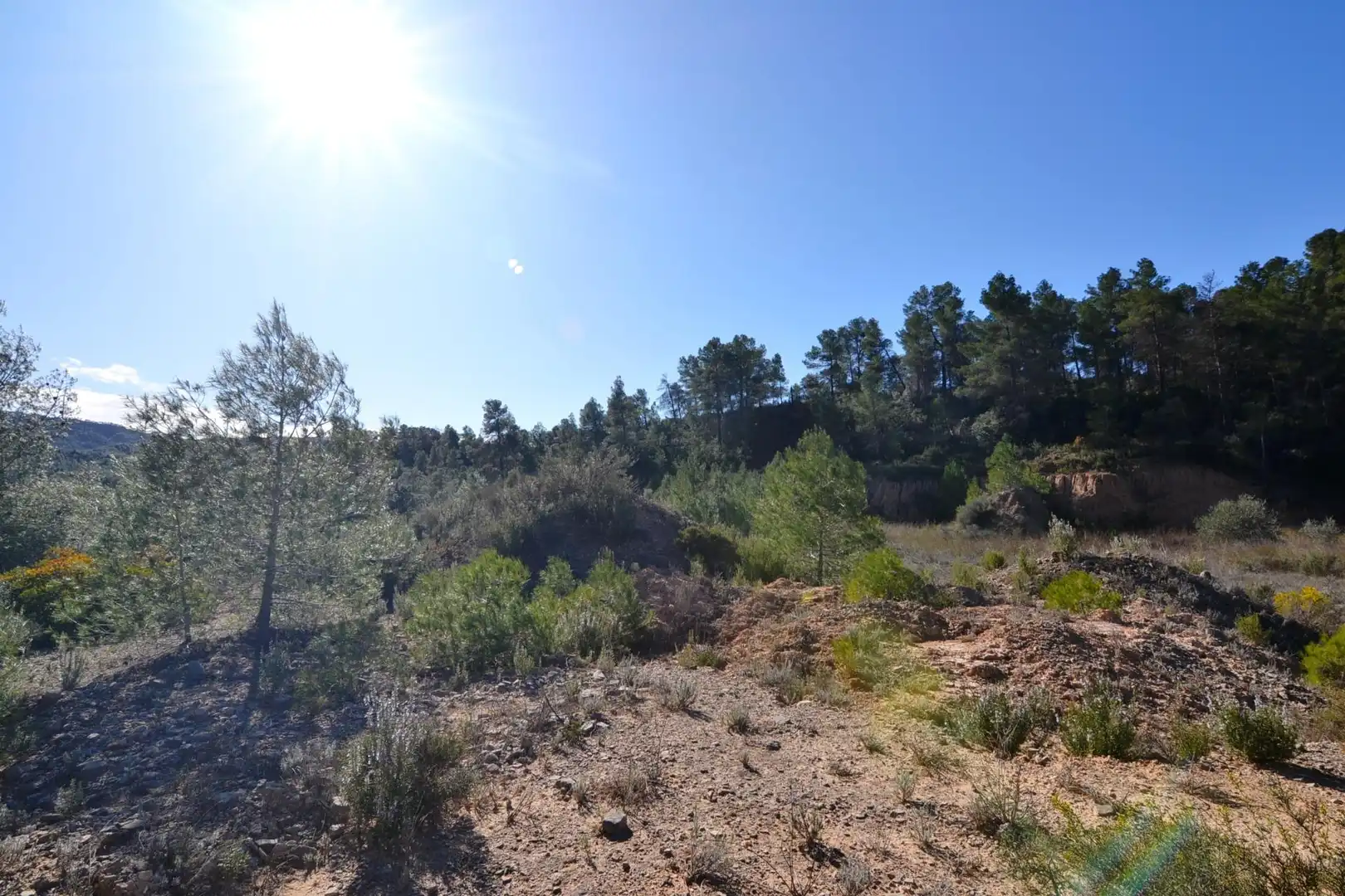Rural land for sale in Ascó, imagen 21