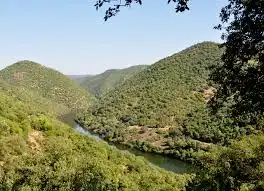 Terreny rústic en venda a Fuente Obejuna