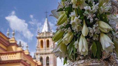 Foto 2 de Piso en venta en Calle Jandula, Pedro Salvador - Las Palmeritas,  Sevilla Capital