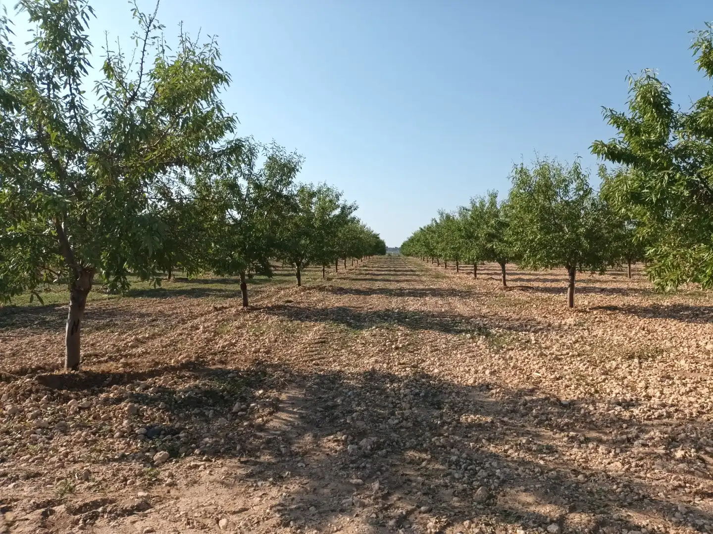 Wohnbaugrundstück zum Verkauf in Polígono 18. Parcela