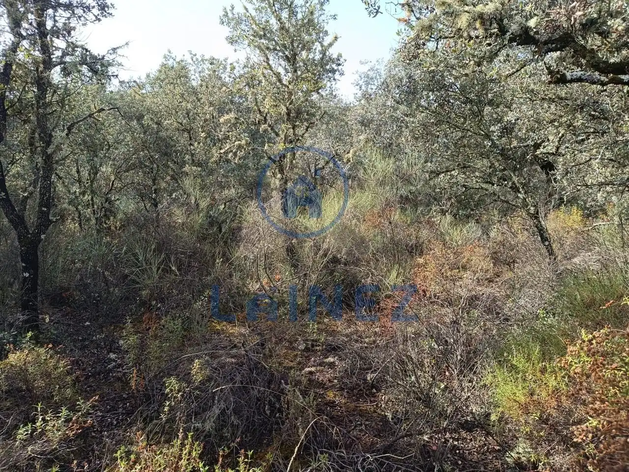 Lands and plots for sale in Espiel, imagen 8