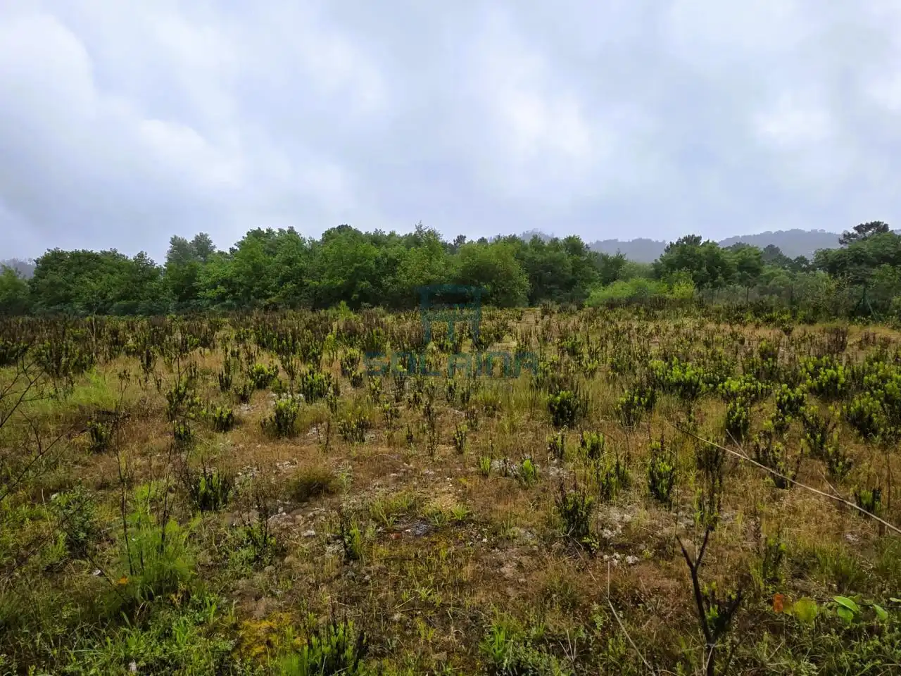Terreni e lotti in vendita a San Cibrao das Viñas, imagen 2