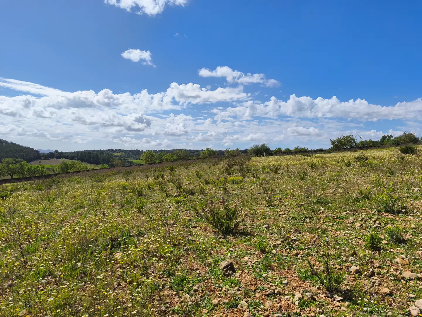 Terrain rustique à vendre à Carrer del Consistori 2, imagen 8