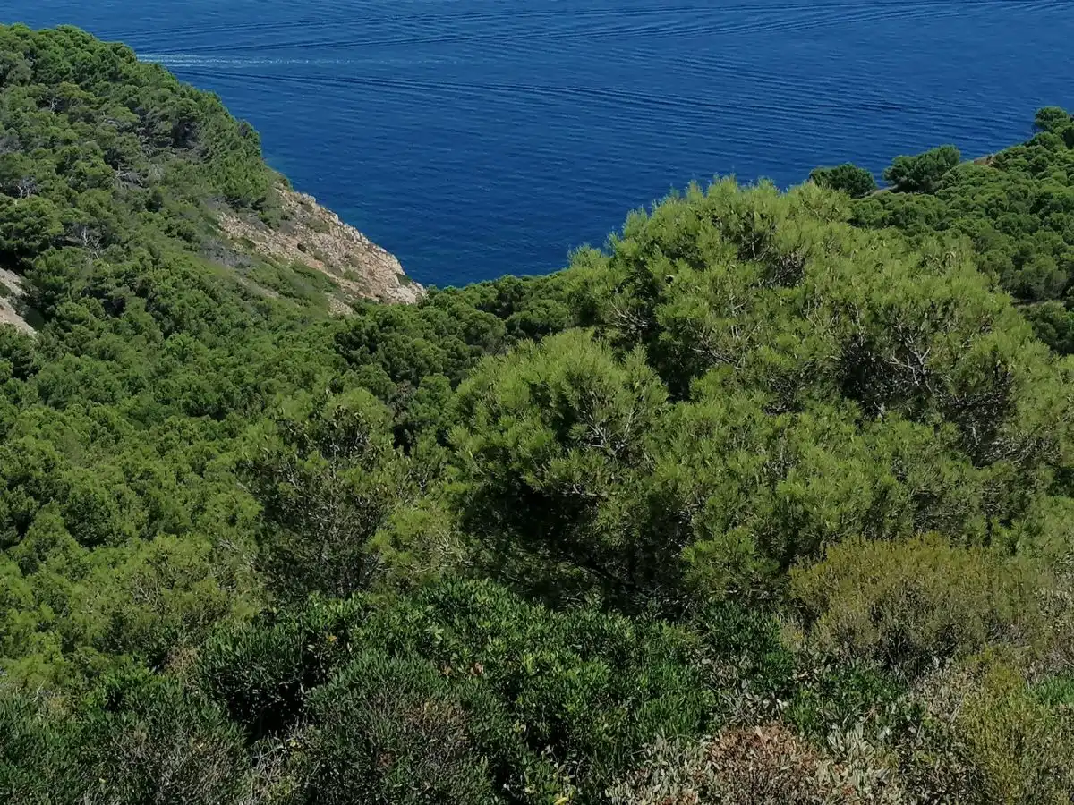 Grundstücke und Bauplätze zum Verkauf in Puig Rodo, imagen 16