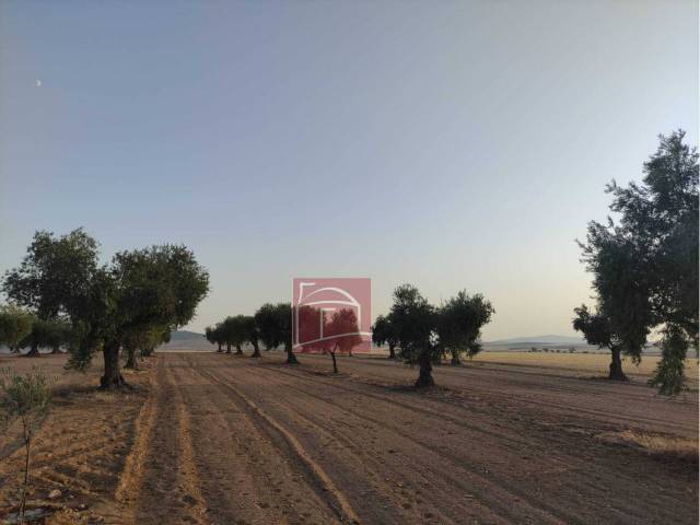 Terreno en Venta en Villanueva de la Serena