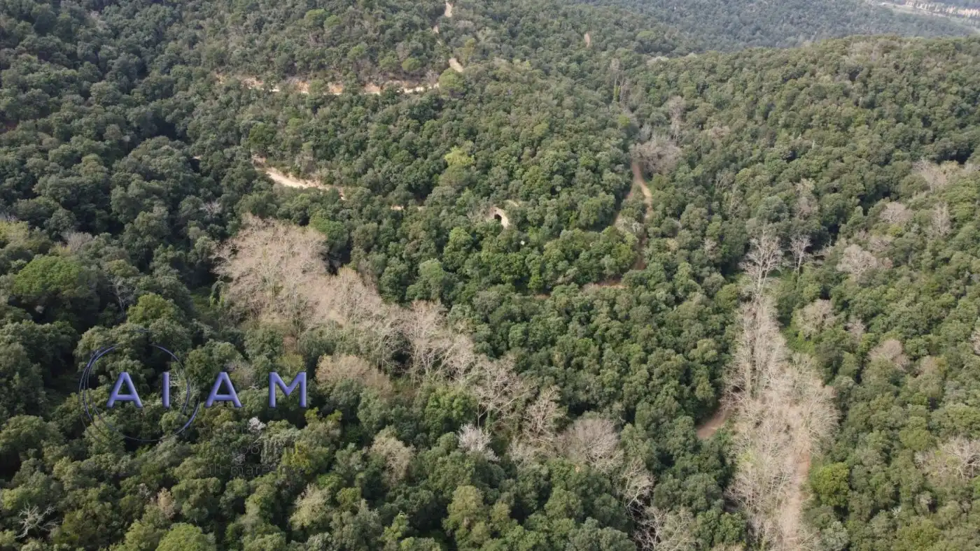 Finca rústica en venta en Santa Susanna