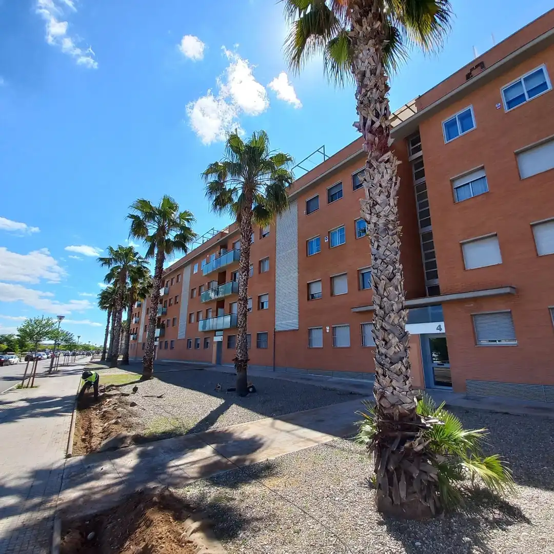 Vista exterior de Planta baja en venta en Cubelles con Piscina comunitaria